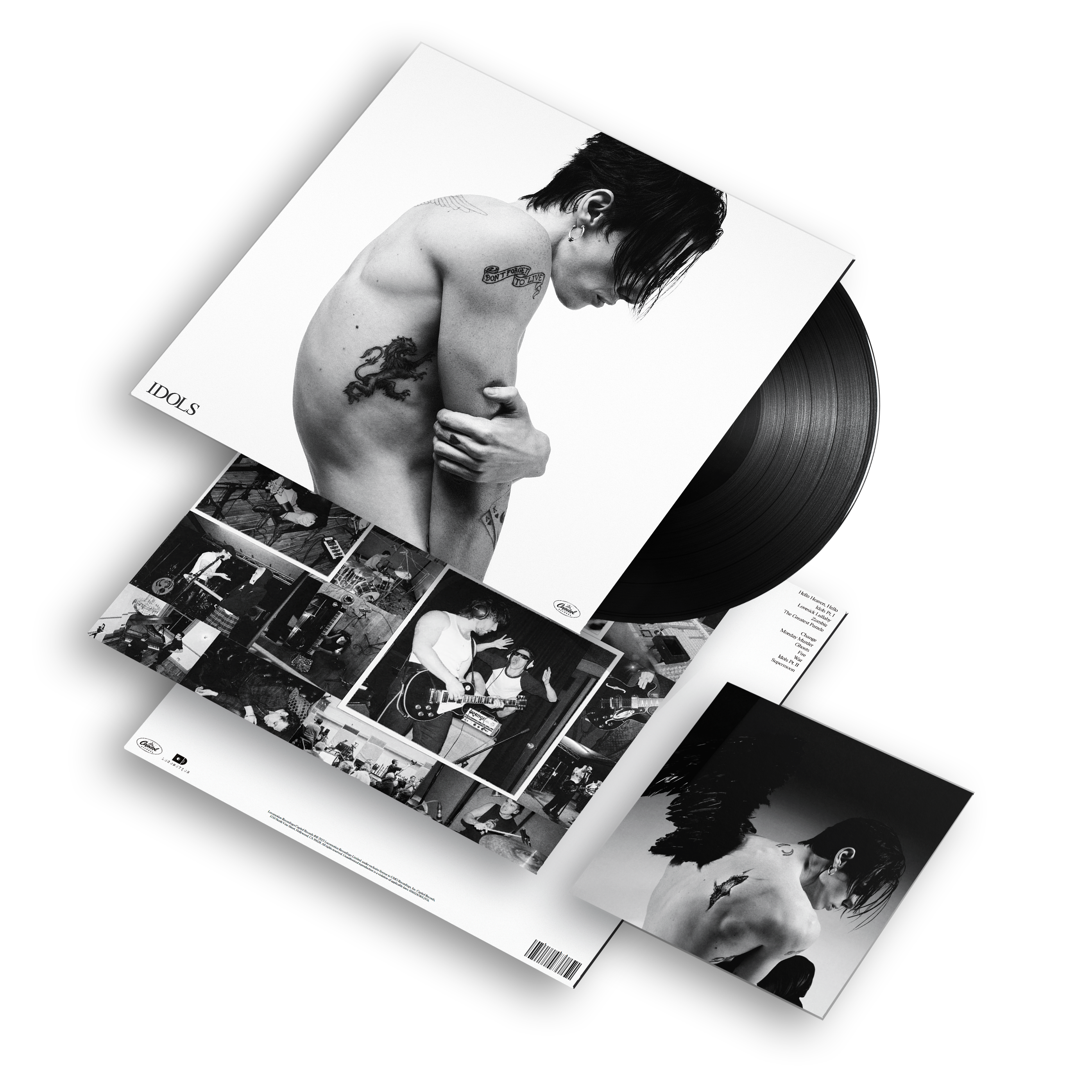 Idols Vinyle